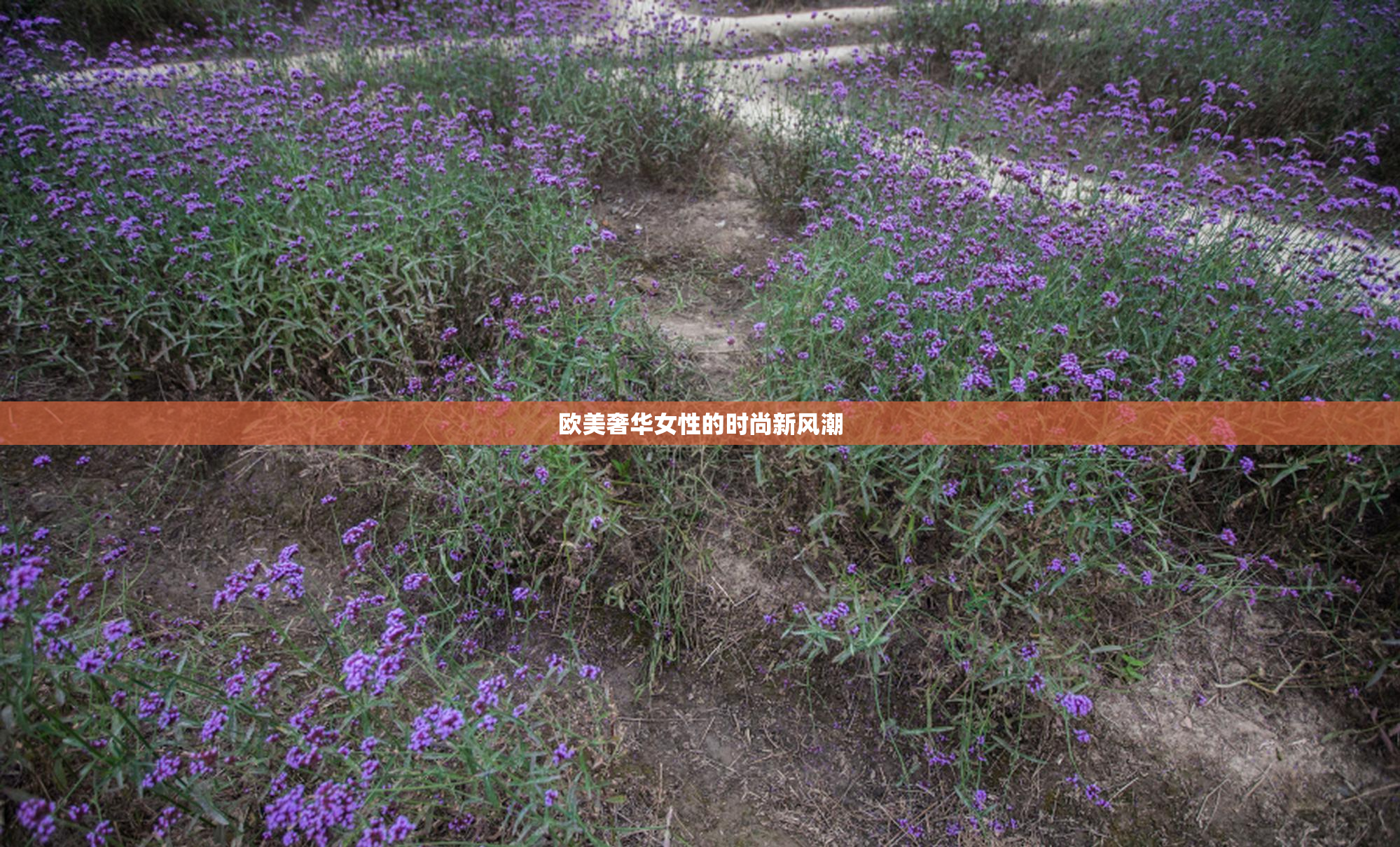 欧美奢华女性的时尚新风潮