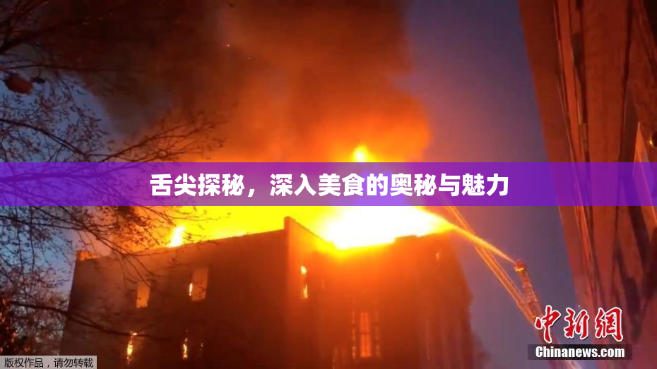 舌尖探秘，深入美食的奥秘与魅力