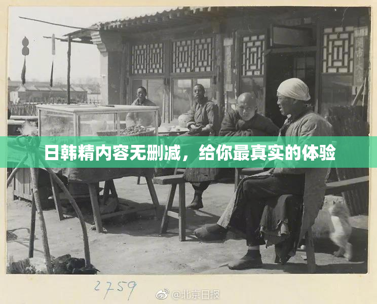 日韩精内容无删减，给你最真实的体验