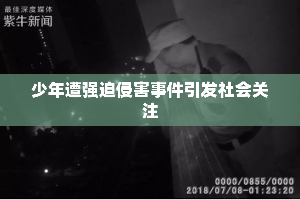 少年遭强迫侵害事件引发社会关注