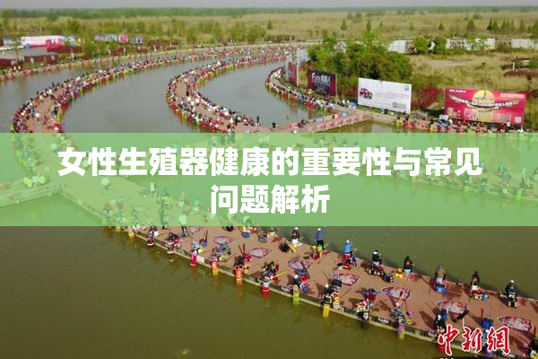 女性生殖器健康的重要性与常见问题解析