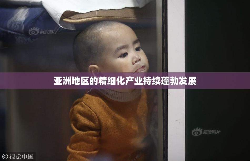 亚洲地区的精细化产业持续蓬勃发展