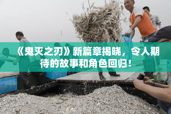 《鬼灭之刃》新篇章揭晓，令人期待的故事和角色回归！