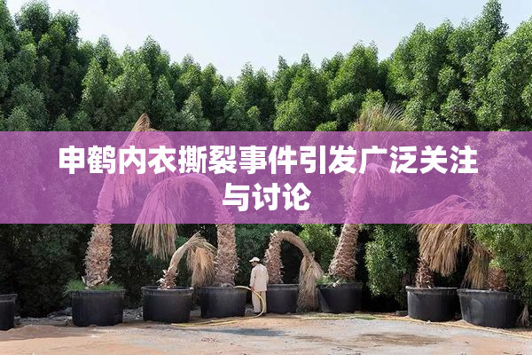 申鹤内衣撕裂事件引发广泛关注与讨论