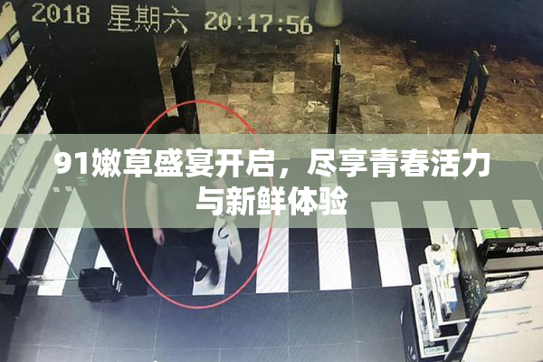 91嫩草盛宴开启，尽享青春活力与新鲜体验