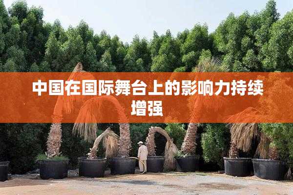 中国在国际舞台上的影响力持续增强