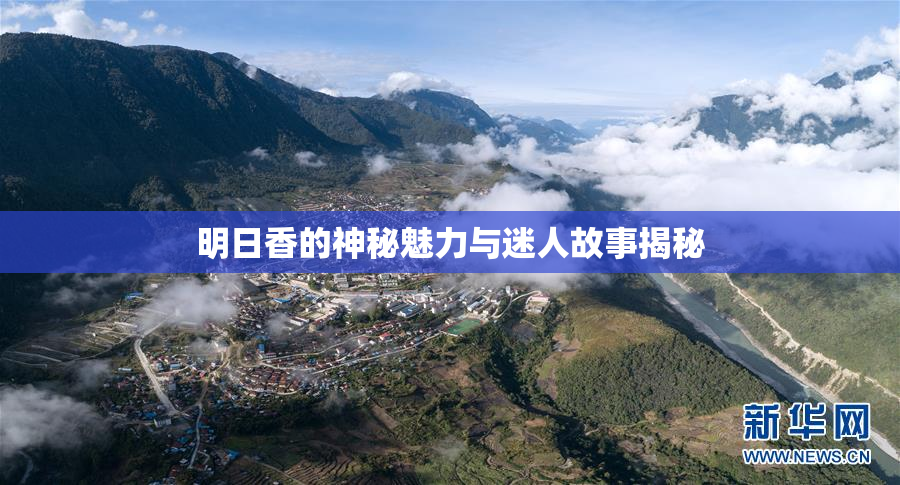 明日香的神秘魅力与迷人故事揭秘