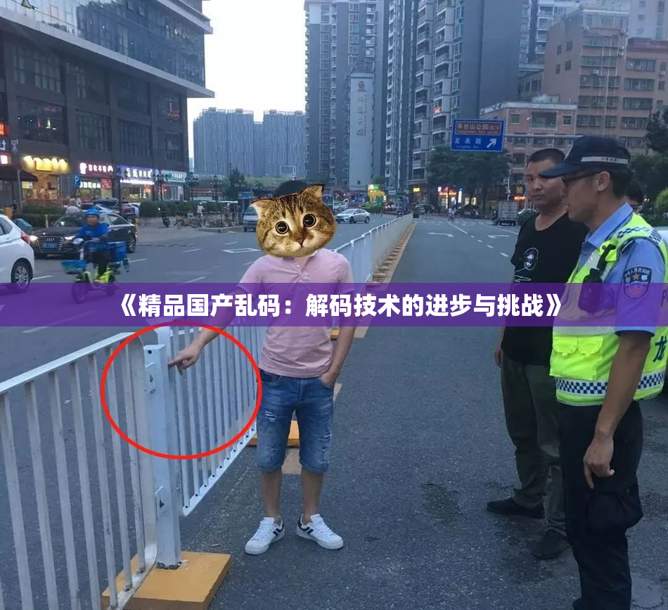 《精品国产乱码：解码技术的进步与挑战》