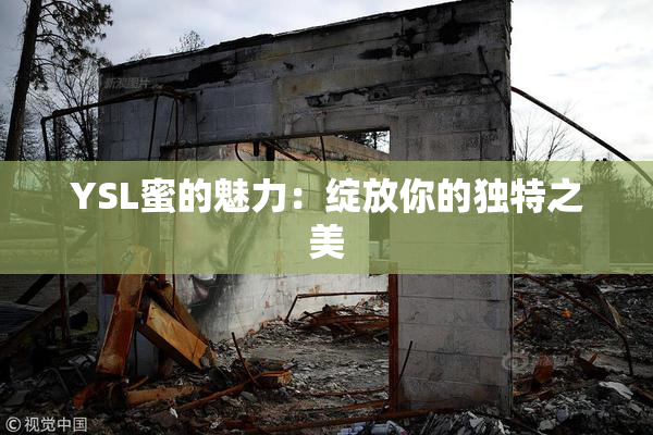 YSL蜜的魅力：绽放你的独特之美