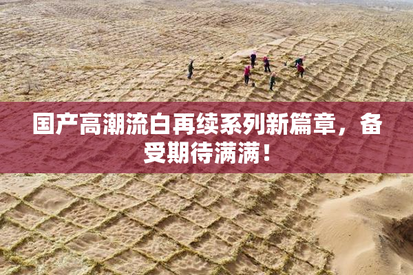 国产高潮流白再续系列新篇章，备受期待满满！