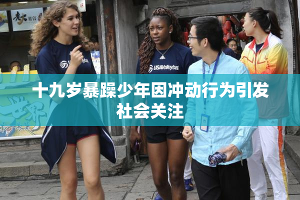 十九岁暴躁少年因冲动行为引发社会关注