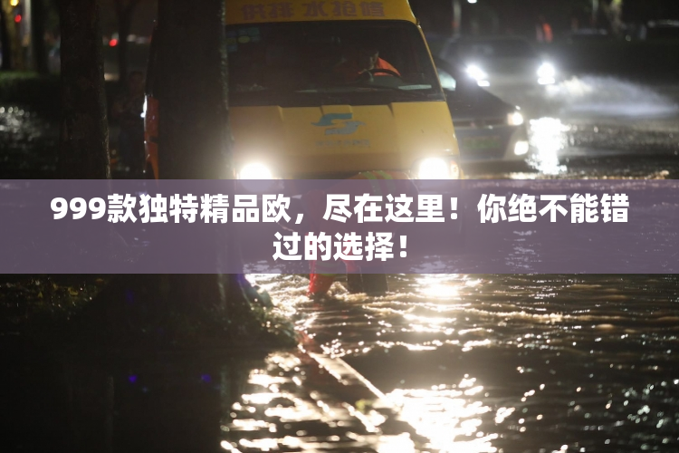 999款独特精品欧，尽在这里！你绝不能错过的选择！