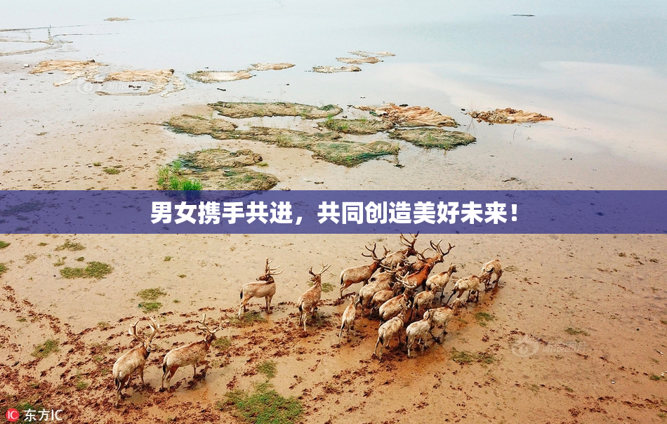 男女携手共进，共同创造美好未来！