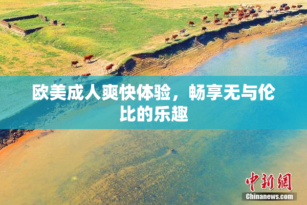 欧美成人爽快体验，畅享无与伦比的乐趣