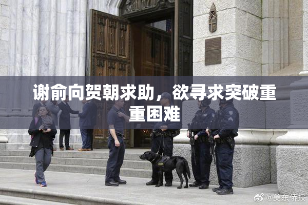 谢俞向贺朝求助，欲寻求突破重重困难