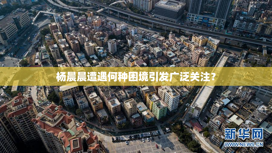 杨晨晨遭遇何种困境引发广泛关注？