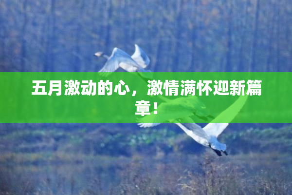五月激动的心，激情满怀迎新篇章！