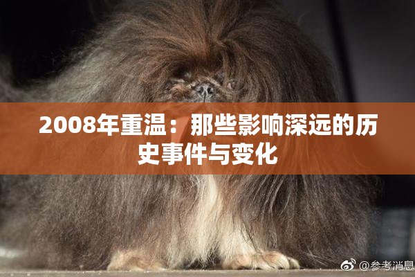 2008年重温：那些影响深远的历史事件与变化