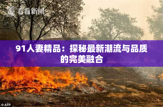 91人妻精品：探秘最新潮流与品质的完美融合