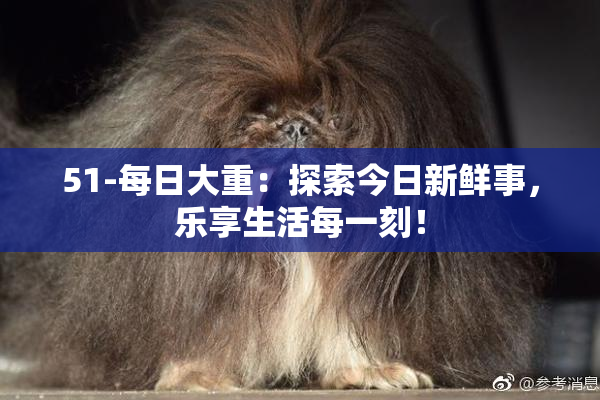51-每日大重：探索今日新鲜事，乐享生活每一刻！