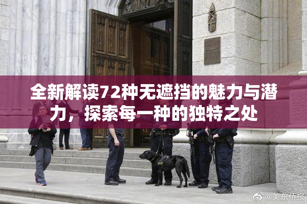 全新解读72种无遮挡的魅力与潜力，探索每一种的独特之处