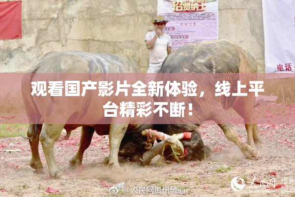 观看国产影片全新体验，线上平台精彩不断！