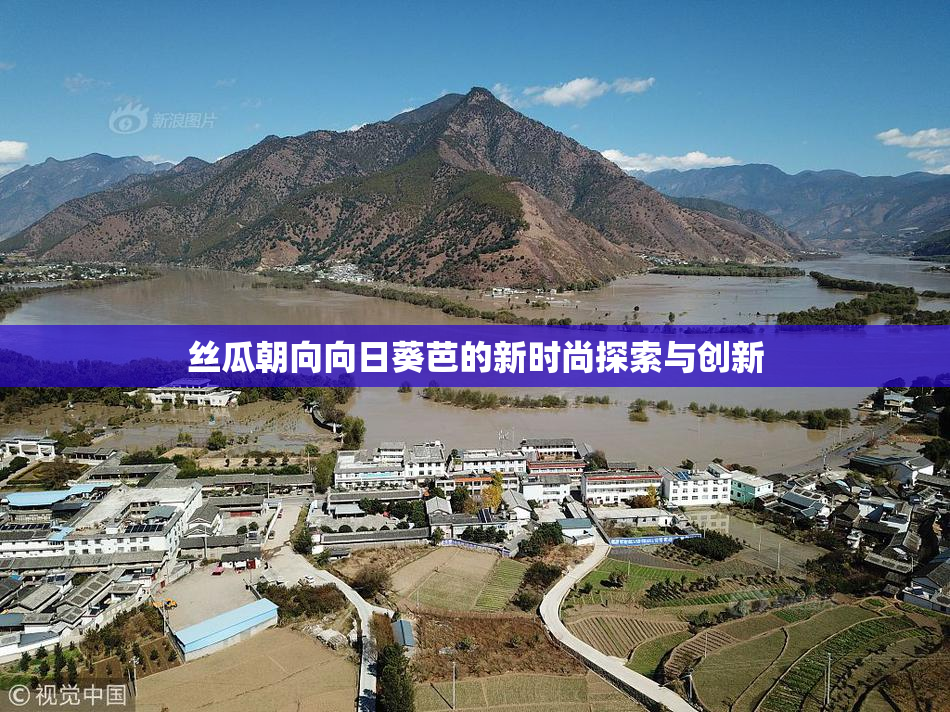丝瓜朝向向日葵芭的新时尚探索与创新