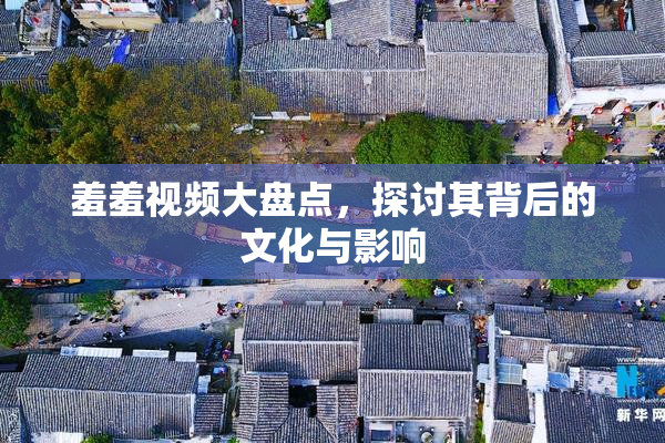羞羞视频大盘点，探讨其背后的文化与影响