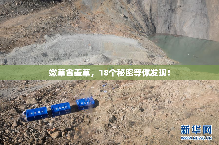 嫩草含羞草，18个秘密等你发现！