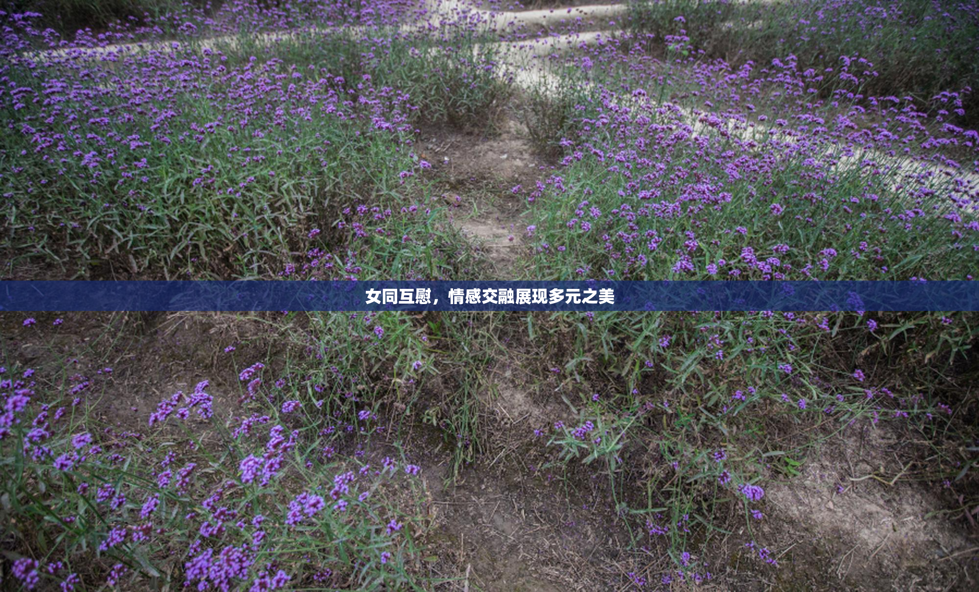 女同互慰，情感交融展现多元之美