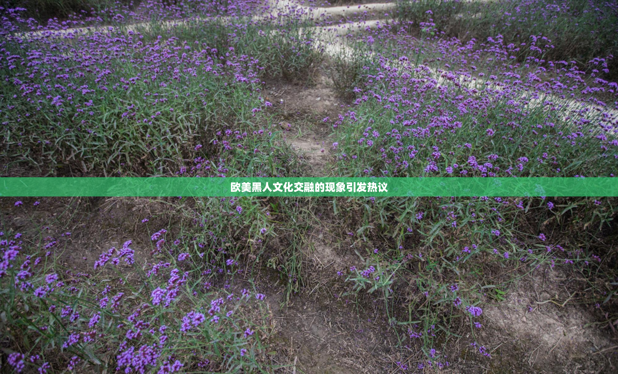 欧美黑人文化交融的现象引发热议