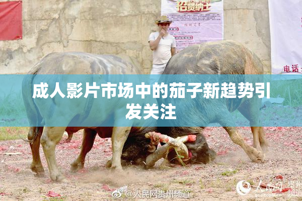 成人影片市场中的茄子新趋势引发关注