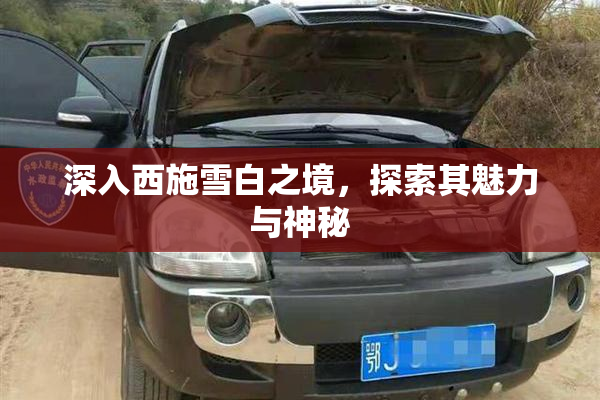 深入西施雪白之境，探索其魅力与神秘