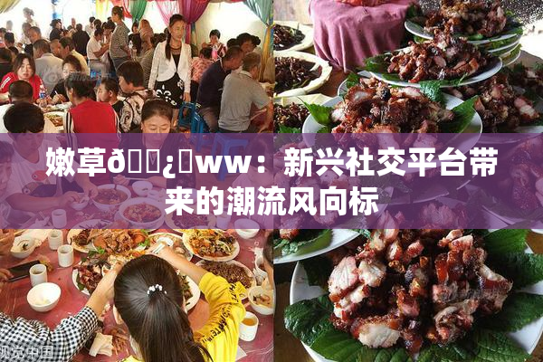 嫩草🌿‌ww：新兴社交平台带来的潮流风向标