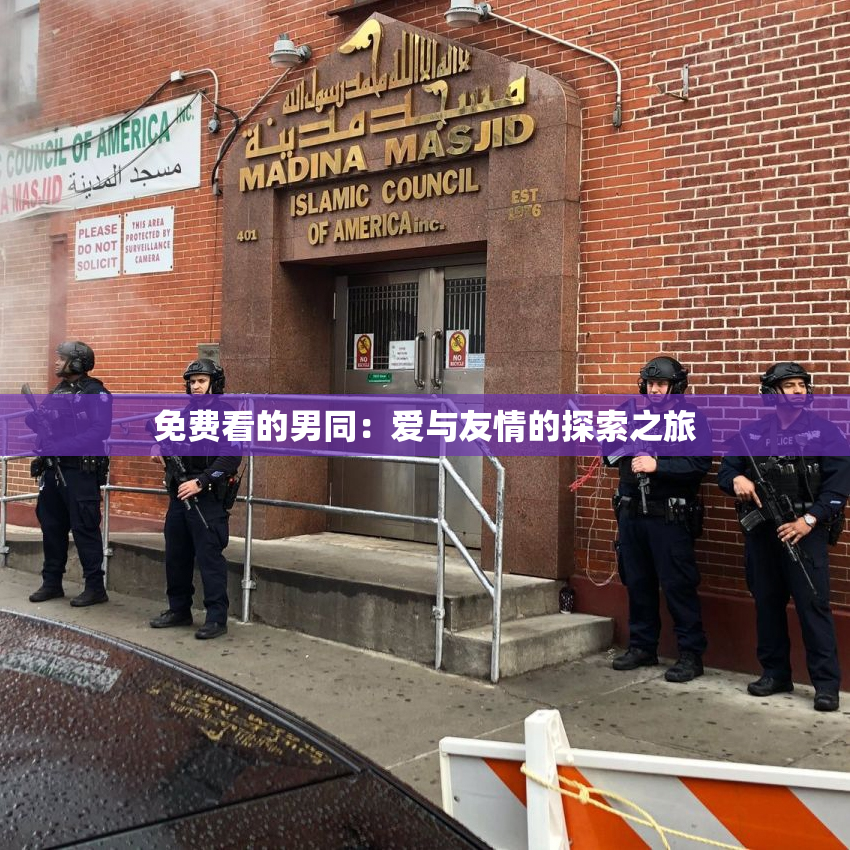 免费看的男同：爱与友情的探索之旅