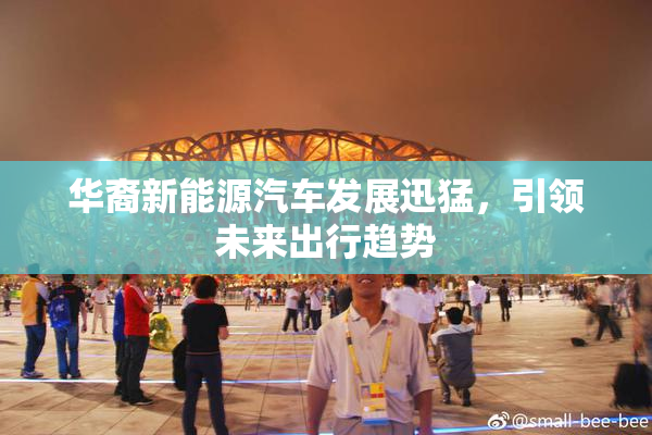 华裔新能源汽车发展迅猛，引领未来出行趋势