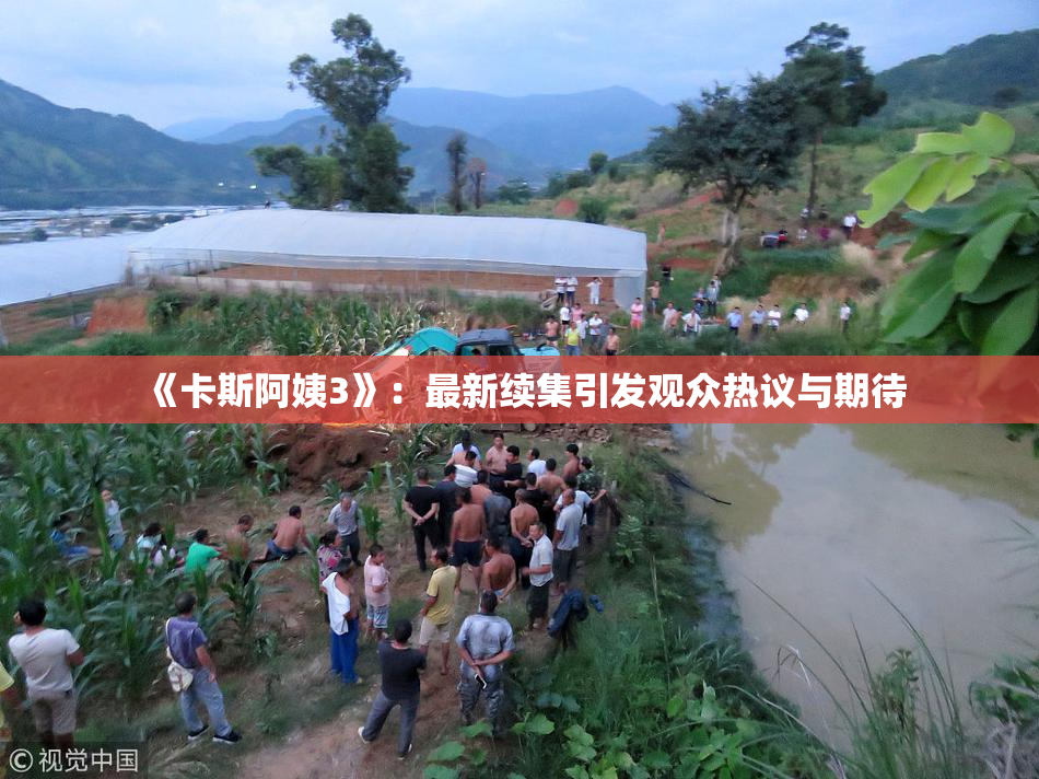 《卡斯阿姨3》：最新续集引发观众热议与期待