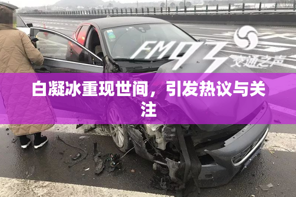 白凝冰重现世间，引发热议与关注
