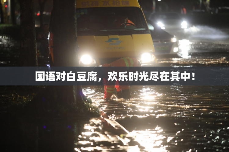 国语对白豆腐，欢乐时光尽在其中！