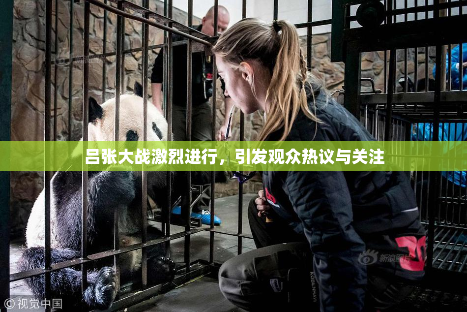 吕张大战激烈进行，引发观众热议与关注