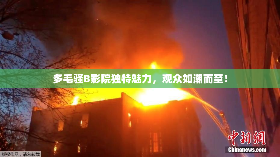 多毛骚B影院独特魅力，观众如潮而至！