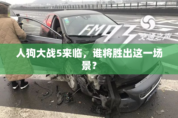 人狗大战5来临，谁将胜出这一场景？