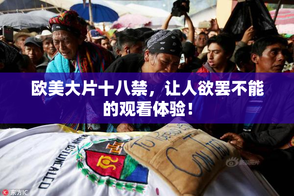 欧美大片十八禁，让人欲罢不能的观看体验！