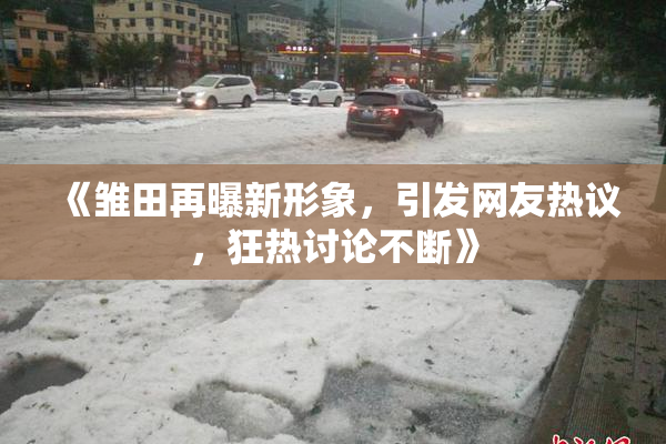《雏田再曝新形象，引发网友热议，狂热讨论不断》