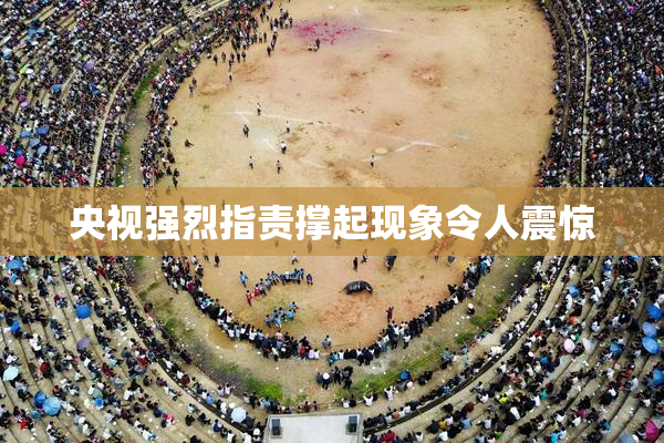 央视强烈指责撑起现象令人震惊