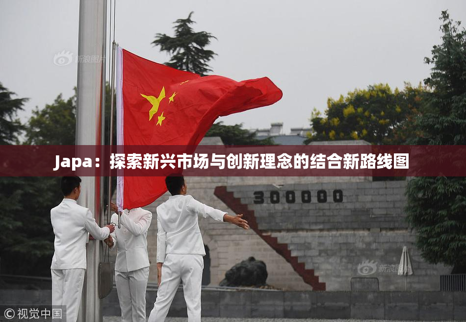 Japa：探索新兴市场与创新理念的结合新路线图