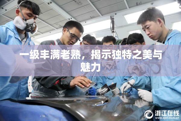 一级丰满老熟，揭示独特之美与魅力