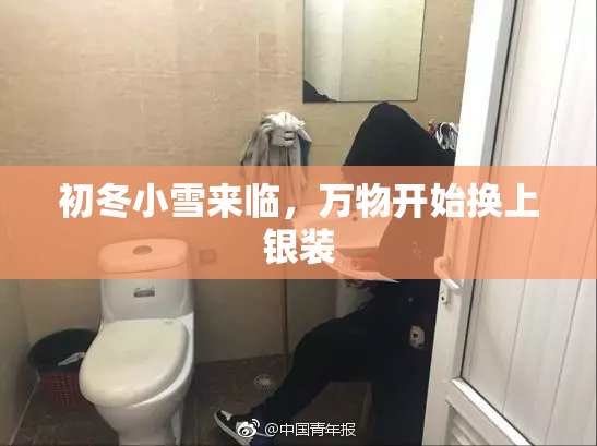 初冬小雪来临，万物开始换上银装