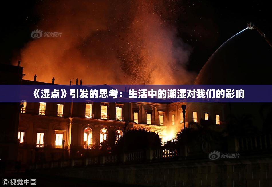 《湿点》引发的思考：生活中的潮湿对我们的影响
