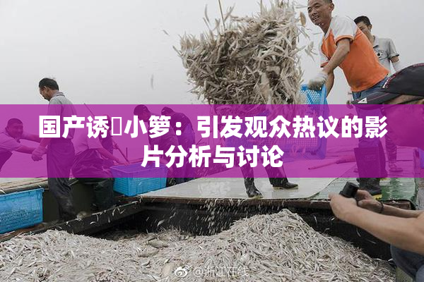 国产诱奷小箩：引发观众热议的影片分析与讨论